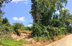 Gray Academy Road, ASHLAND, MS 38603