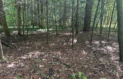 Slick Rock Rd, Eolia, KY 40862
