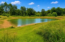 100 N Shady Lane, Eubank, KY 42567