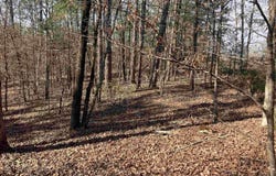9999 Riverfront Drive, Mount Ida, AR 71957