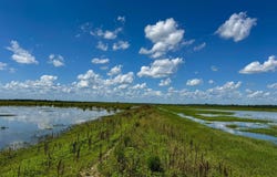 Lawrence Rd 348, Alicia, AR 72410