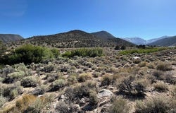 1220 SETTLER'S Way, Dyer, NV 89010