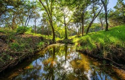 00 Ligon-Smith Lane, Johnson City, TX 78636