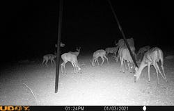 Hwy 349, Sheffield, TX 79848