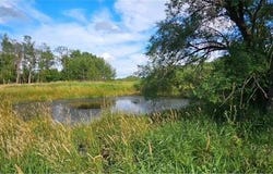 Willow Road NE, Carlos, MN 56319