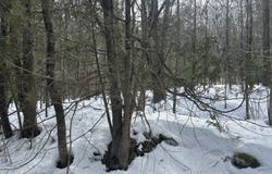 L11.120 Hogback Road, Crown Point, NY 12928
