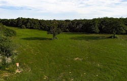 CR 328, Milano, TX 76556