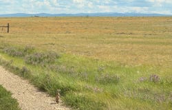 84A Nine Mile Road, Medicine Bow, WY 82329