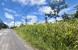 15-1760 9TH AVE, Keaau, HI 96749