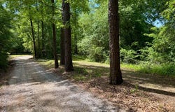 0 Berry Rd, Valley Grande, AL 36701