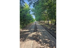 Tbd CR 4841 Tract 2, Leonard, TX 75452