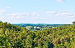 2462 Dogwood Loop Drive, Sevierville, TN 37876