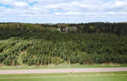 XXXXX County Rd 104, Barnum, MN 55707
