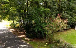 BLACKWATER VLG LOT 1 BLK INDIAN QUEEN LANE, DAGSBORO, DE 19939