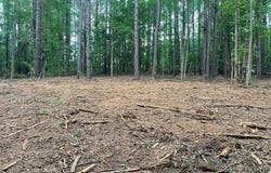0 Joe Oulla Road, Ware Shoals, SC 29692