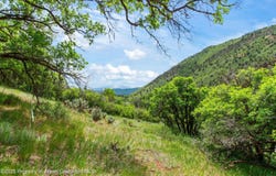354 Snowmass Creek Road, Snowmass, CO 81654