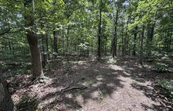 575 Hwy 221, Ironton, MO 63650
