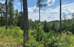 Lot 147 Creekside, Talking Rock, GA 30175