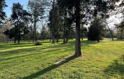 106 Stonewall Drive, Streetman, TX 75859