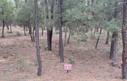1400 E Pine Oaks Drive, Show Low, AZ 85901
