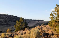 2980 N Star Road, Reno, NV 89521