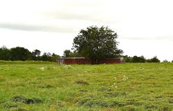 00 Hwy 90 E., Schulenburg, TX 78956