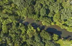 Lot 14 Barney Road, Enola, AR 72047