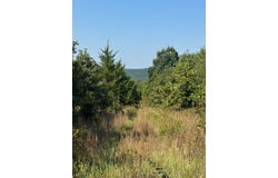 Tbd Old Brewer Rd N, Edgemont, AR 72044