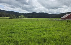NKAParcel2 Desmet Rd, Desmet, ID 83824