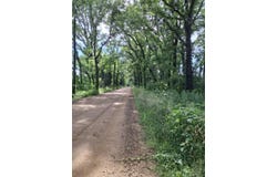 52986 94th Ave., Decatur, MI 49045
