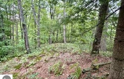 35 Brook Hill Cottages, Glen Arbor, MI 49636