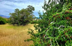 Tbd Mesa Road, Mesa, ID 83643