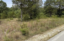 272 Beechwood Drive, Branson West, MO 65737
