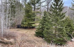 26916 W 18th, Hubbell, MI 49934