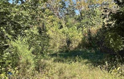 Nix RIdge Road, Ash Flat, AR 72513