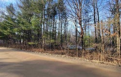 1090 Frank Street, Beaverton, MI 48612