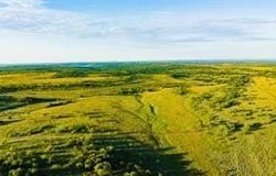 CR 247, Oplin, TX 79510