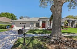 1524 STIPULE COURT, TRINITY, FL 34655