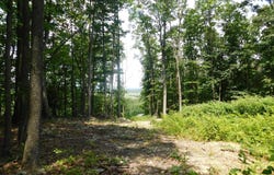 0 LARKIN RIDGE ROAD, FRONT ROYAL, VA 22630