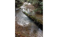 0 Wolf Howl Trail, Sautee Nacoochee, GA 30571