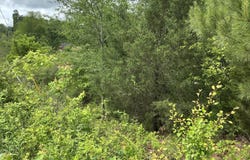 0 S Highway 27, LaFayette, GA 30728