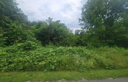 Tbd Charity Road, Doran, VA 24641