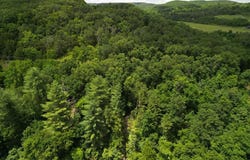 000 State Highway 14, Ava, MO 65608