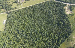TBD NW Shuman Ferry Rd., Altha, FL 32421