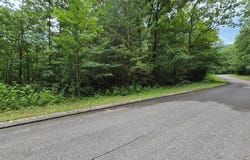 Lower Brow Road lot: 135, Dunlap, TN 37327