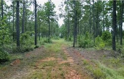 3245 CR 1095, Center, TX 75935