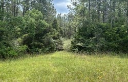 Parcel 2 George Boutwell Rd., Ovett, MS 39464