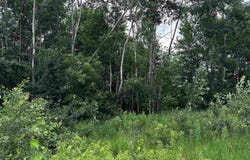05 FREEDOM WAY, Wittenberg, WI 54499