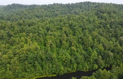 0 Falcon rd, Salyersville, KY 41465