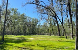 158 SW BUMBLE, Fort White, FL 32038